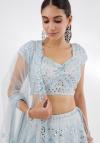 Powder Blue Organza Lehenga