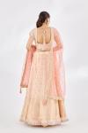 Powder Peach Banarasi Lehenga