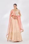 Powder Peach Banarasi Lehenga