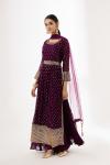 Plum Sharara Suit