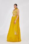 Mustard Chinon Lehenga