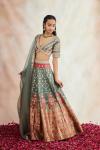 Rare Grey Banarasi Silk Paithni Lehenga