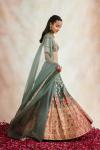 Rare Grey Banarasi Silk Paithni Lehenga