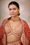 Burnt Orange Banarasi Silk Lehenga