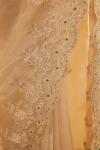 Shimmer Gold Tissue Organza Saree