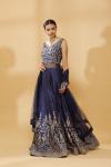 Royal Blue Embroidered Gown With Net Dupatta