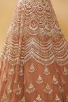 Rust Embroidered Gown