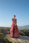 Rose-Red Velvet Lehenga