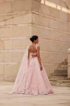 Blush Pink Lehenga 