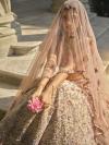 Powder Pink Organza Lehenga