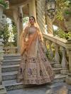 Brown Velvet Lehenga