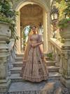 Brown Velvet Lehenga