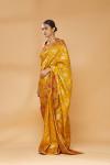 Warm Mustard Embroidered Saree