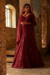Deep Red Embroidered Gown